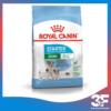 Thức Ăn Hạt Cho Chó Mẹ Và Chó Con Royal Canin Mini Starter Mother & Babydog