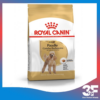 [500g - 1.5kg] Thức Ăn Hạt Cho Chó Poodle Trưởng Thành Royal Canin Poodle Adult